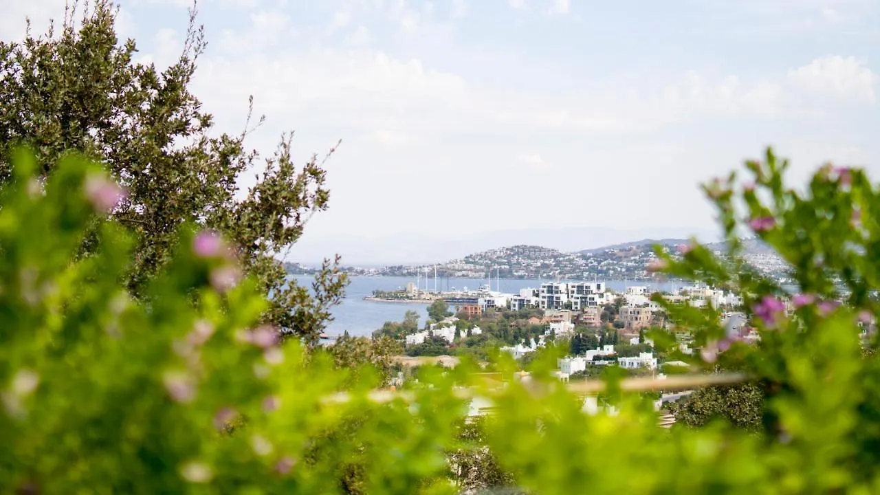 Spektr Boutique Hotel Yalikavak